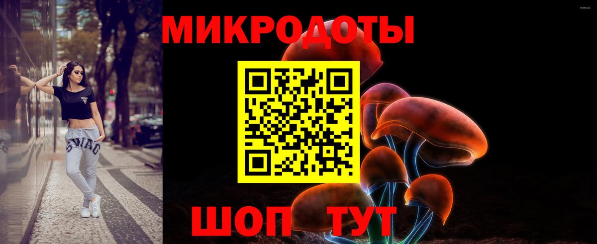 Псилоцибиновые грибы мухоморы Удомля